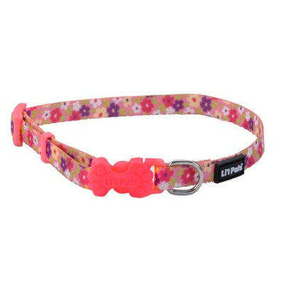 Coastal Collar Adjustable Daisi Multicolor 7 06221Dmc07