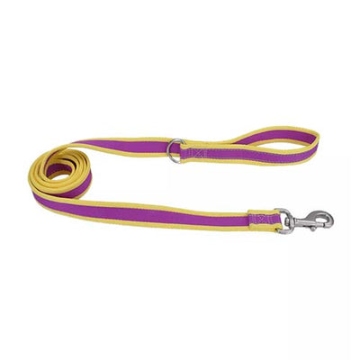 Coastal Leash Purple With Yellow 6 12626Pmy06