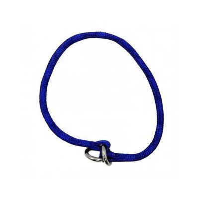 Coastal Collar Training Blue 24 03302Blu24