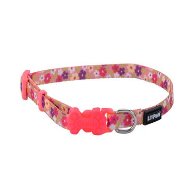 Coastal Collar Adjustable Deisi Multicolor 12 06622Dcm12