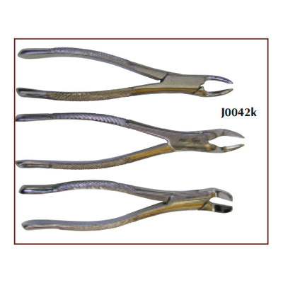 JORVET FORCE DENTAL EQUINO PEQUEÑO