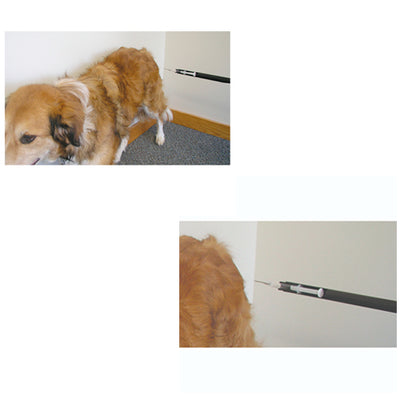 VARILLA DE INYECCIÓN A DISTANCIA  4 FT CP JORVET PO USA