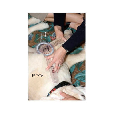 JORVET GONIOMETRO GRANDE