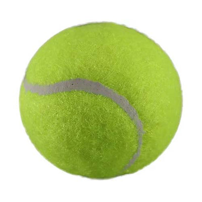 PetsPort Catnip Balls 1.5 2Pk 70019